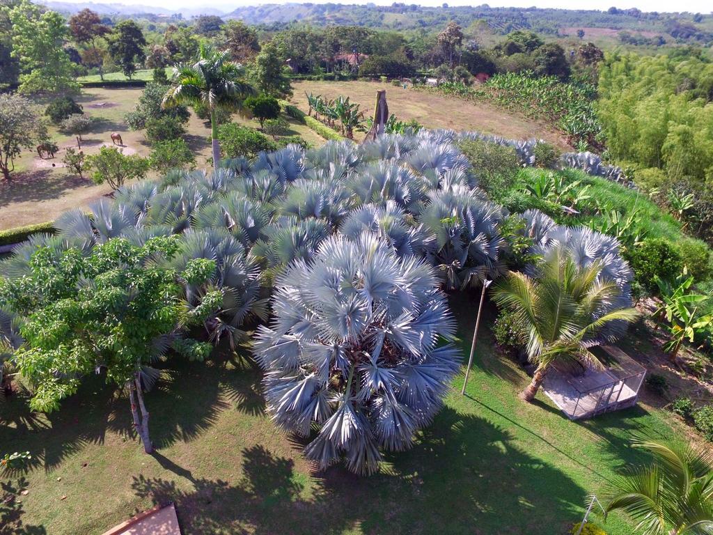 Casa De Campo Sao Paulo Villa El Edén Exterior foto